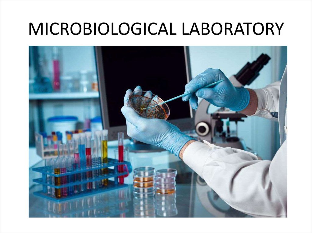 Microbiological Lab Equipment