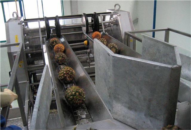 Pineapple Mango Processor